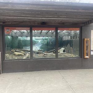 Kansas Carnivores - River Otter Exhibit