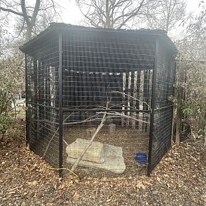 Great Horned Owl Cage
