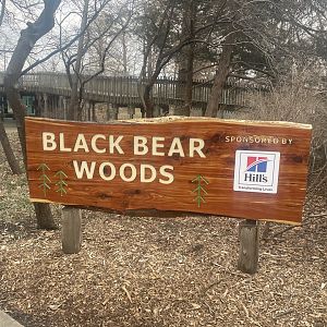 Black Bear Woods - Entry Sign