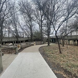 Black Bear Woods - General View