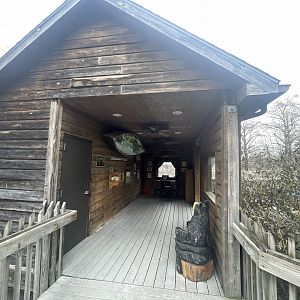 Black Bear Woods - Shelter