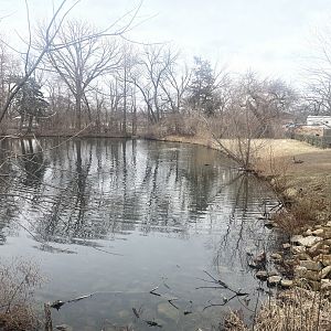 Black Bear Woods - Waterfowl Pond