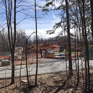 Asia Construction Progress: March 11, 2023