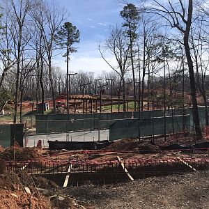 Asia Construction Progress: March 11, 2023