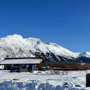Wood Bison Management Area