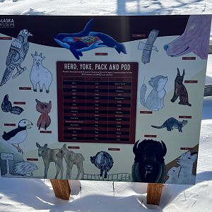 Children’s Educational Sign