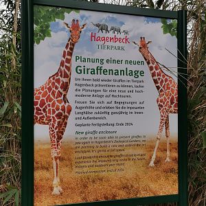 New giraffe enclosure 2024