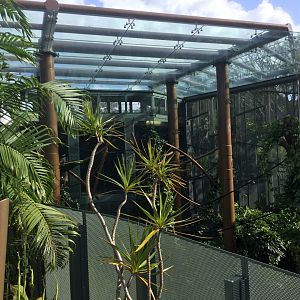 Siamang Exhibit (Overhead Shelter/Viewing Platform)