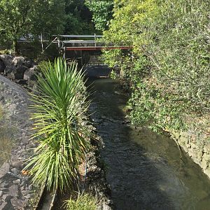 Motions Creek - Flood Gate