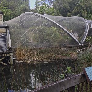 New Zealand Native Precinct - The Islands