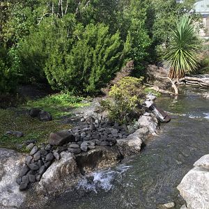 New Zealand Native Precinct - The High Country