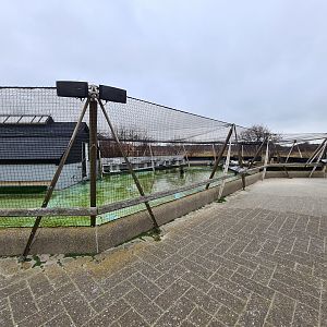 Seabird aviary
