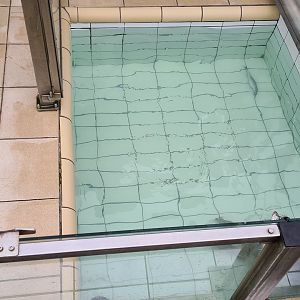 Seal rescue center - "Emily"