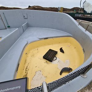 Seal rescue recovery enclosure - "Mees" and "Leila"