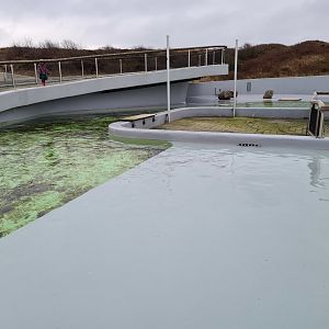Harbour seal permanent enclosure