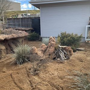 Zoo Atlanta- Meerkat Exhibit