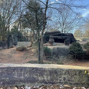 Zoo Atlanta- African Lion Exhibit