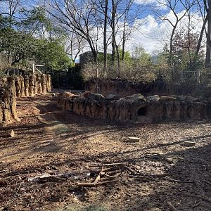 Zoo Atlanta- Warthog Exhibit