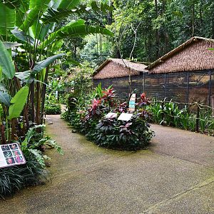 [CLOSED] Heliconia Walk