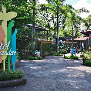 [CLOSED] Parrot Paradise