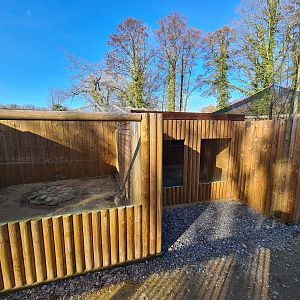 Meerkat and Banded Mongoose Exhibit