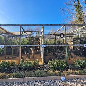 Squirrel Monkey, Agouti and Hutia Exhibit