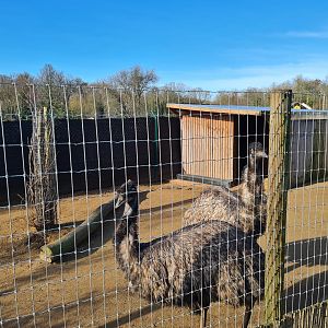 Emu Exhibit