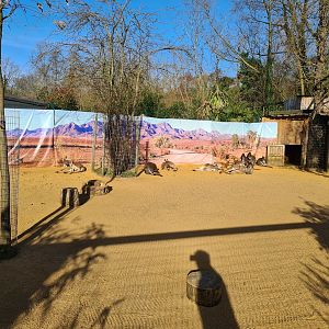 Kangaroo and Wallaby Exhibit