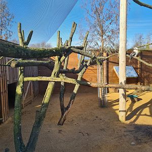 Kookaburra and Wallaby Exhibit