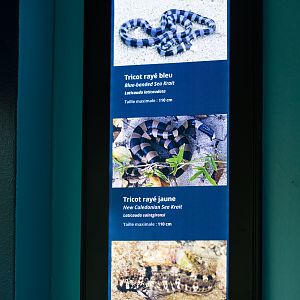 Labels for Sea Kraits