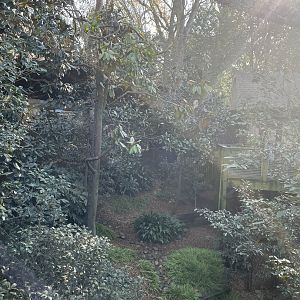 Zoo Atlanta- The Living Treehouse Aviary