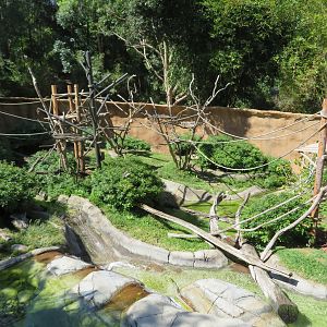 Swamp Monkey/Otter Exhibit