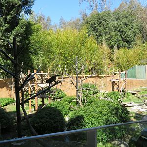 Swamp Monkey/Otter Exhibit