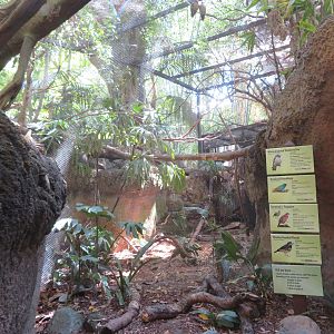 Small Tiger Trail Aviary