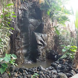 Tropical hall - Asian/Philippines section - Waterfall, 2022-08-28