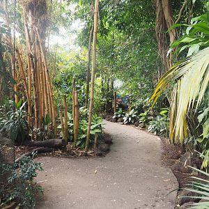 View in the first walk-through section of the Tropical hall - Asian/Philippines section, 2022-08-28