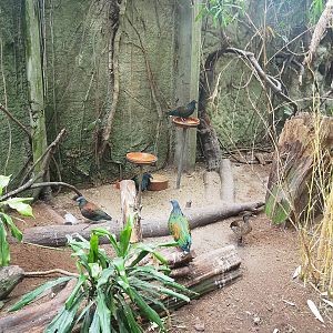 Feeding zone, 2022-08-28