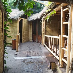 Asian/Philippines section of the tropical hall - Themed village area, 2022-08-28