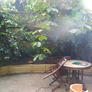 Asian/Philippines section of the tropical hall - Themed village area, 2022-08-28