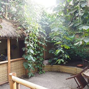Asian/Philippines section of the tropical hall - Themed village area, 2022-08-28
