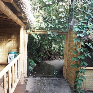 Asian/Philippines section of the tropical hall - Themed village area, 2022-08-28