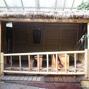 Asian/Philippines section of the tropical hall - Themed village area, 2022-08-28