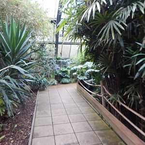 Lorikeet Lookout 241122