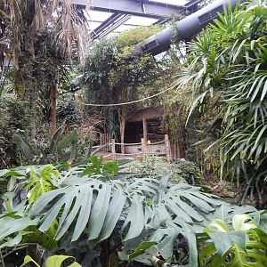 Lorikeet Lookout 241122