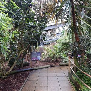 Lorikeet Lookout 241122