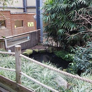 Lorikeet Lookout 241122