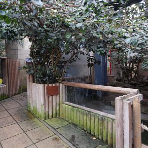 Lorikeet Lookout 241122