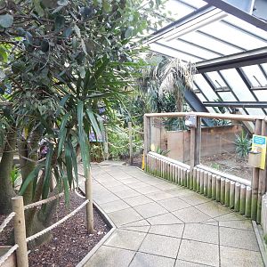 Lorikeet Lookout 241122