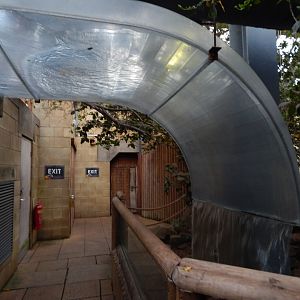 Lorikeet Lookout 241122