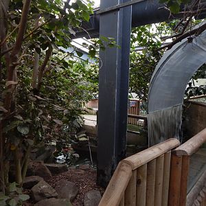 Lorikeet Lookout 241122